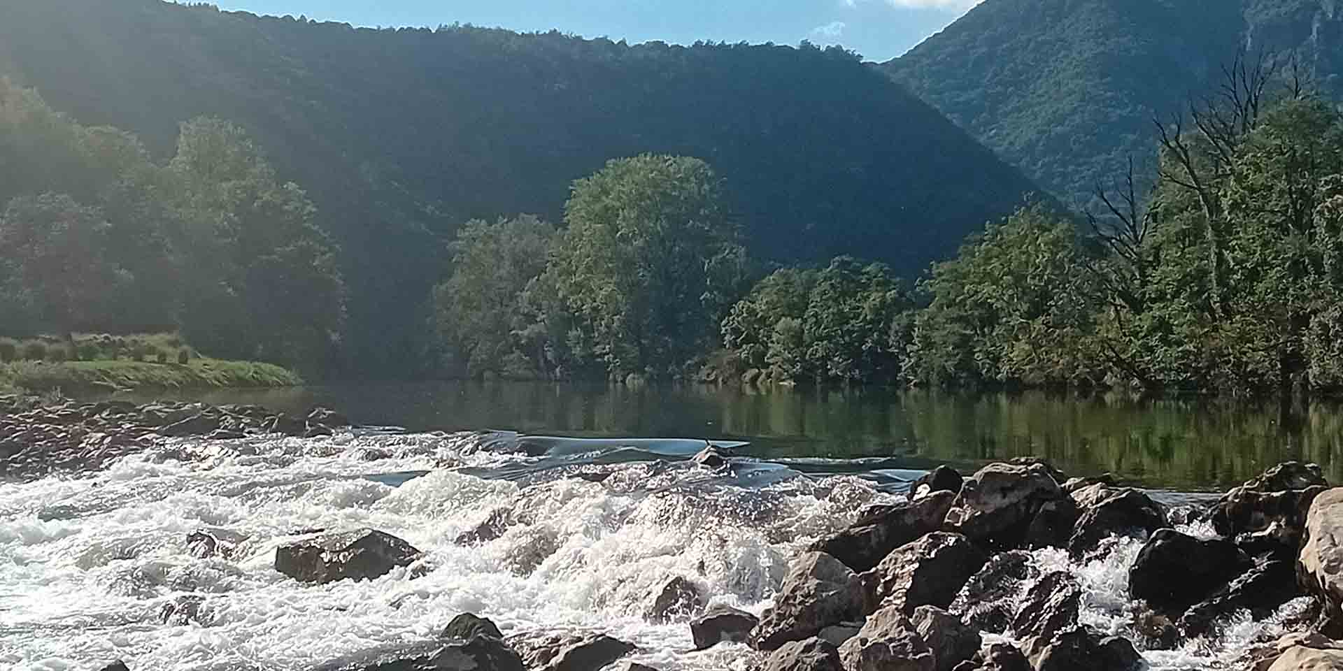 np kolpa1